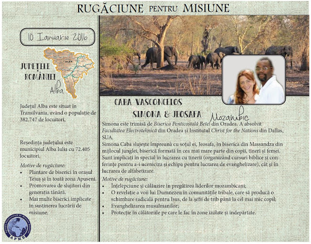 886919_430824693783322_5611285399829848788_o